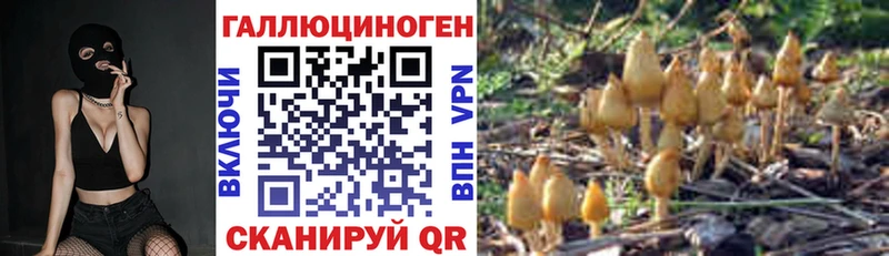 мега как зайти  Усть-Джегута  Галлюциногенные грибы Cubensis  где найти  